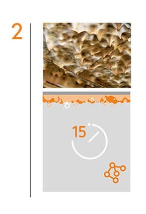 Disolución molecular de la grasa en la limpieza de campanas extractoras industriales en Badajoz